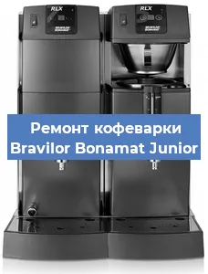 Чистка кофемашины Bravilor Bonamat Junior от кофейных масел в Волгограде
